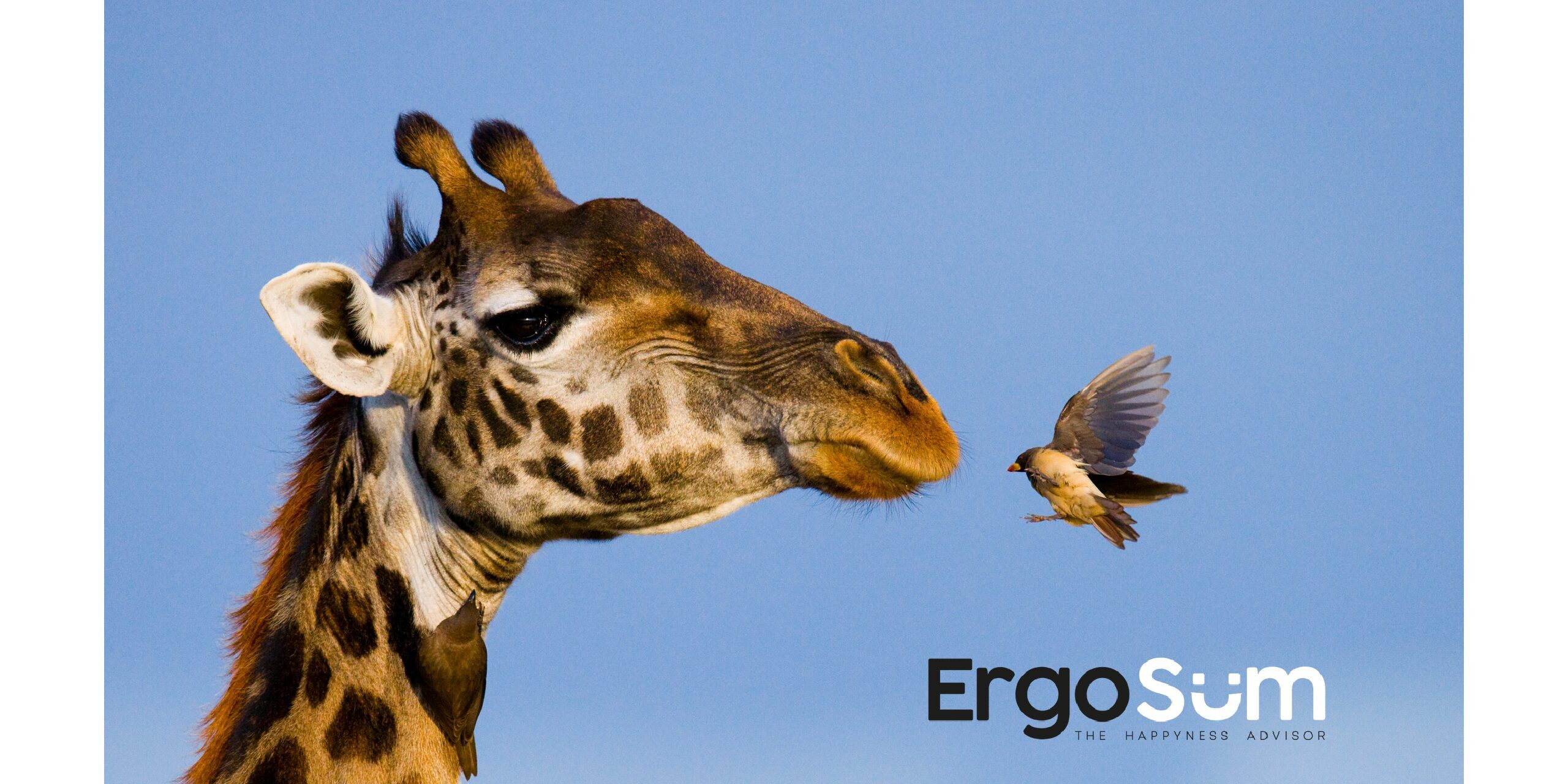 Progetto senza titolo