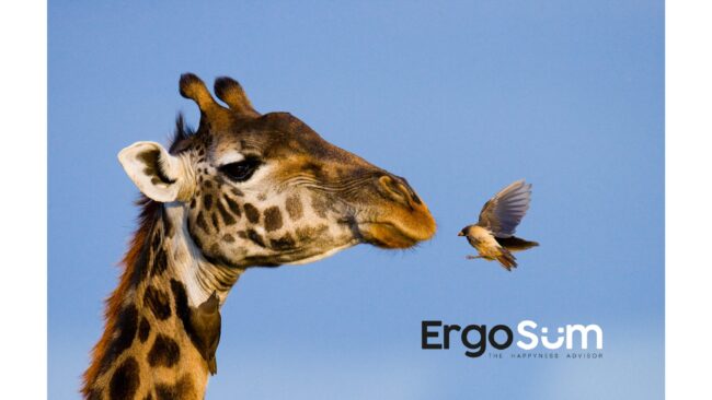 Progetto senza titolo